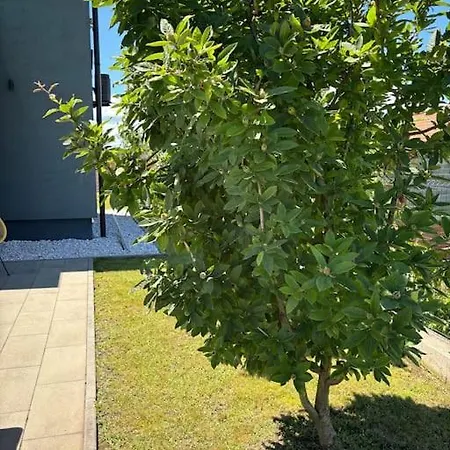 Im Gruenen Villa Mutnik